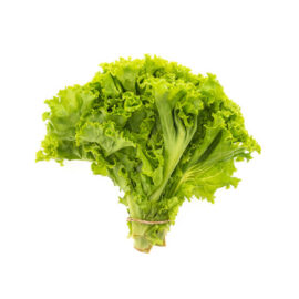 Lettuce